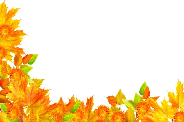 Яркая яркая осенняя листва — стоковое фото