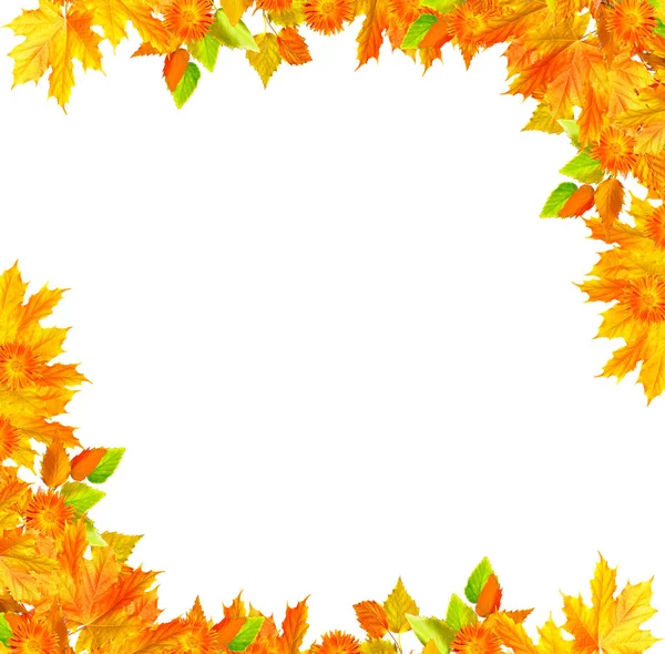 Jasnych, kolorowych liści jesienią — Zdjęcie stockowe