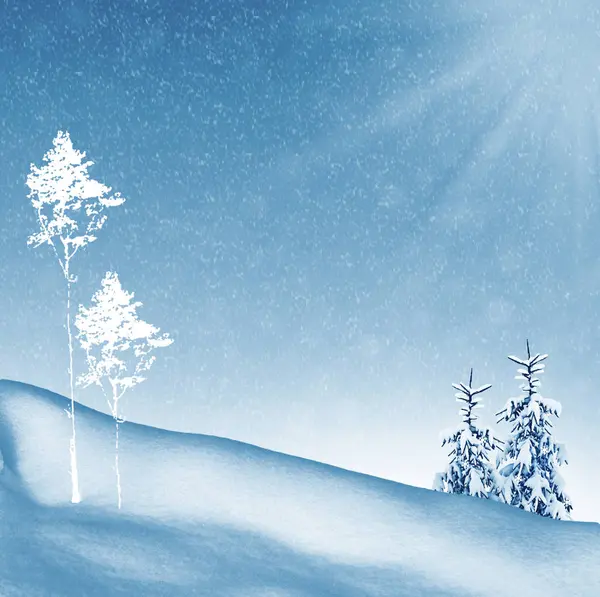 Frozen winter forest with snow covered trees. — Stock Photo, Image