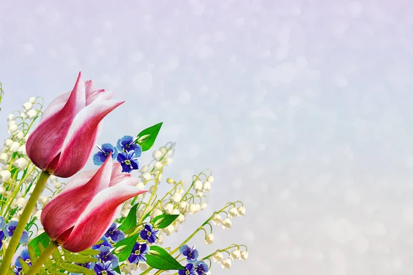 Helle und farbenfrohe Frühlingsblumen. — Stockfoto