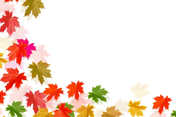 Leuchtend buntes Herbstlaub — Stockfoto