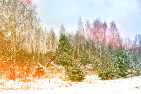 Kışın kar köyde orman kaplı. — Stok fotoğraf