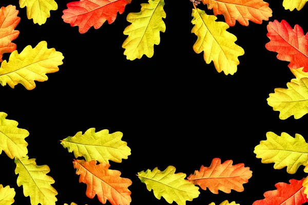 Φωτεινά πολύχρωμα φύλλα του φθινοπώρου — Φωτογραφία Αρχείου