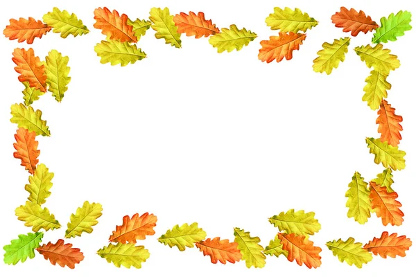 Jasne kolorowych liści jesienią — Zdjęcie stockowe