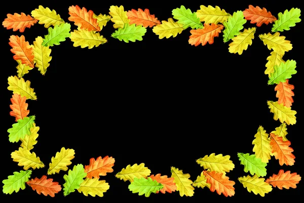 Zářivě barevné podzimní listí — Stock fotografie