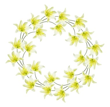 Beyaz arka plan üzerinde izole parlak lily çiçek.