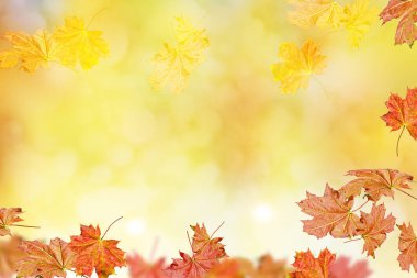 sonbahar manzara parlak renkli yeşillik ile. Pastırma yazı.