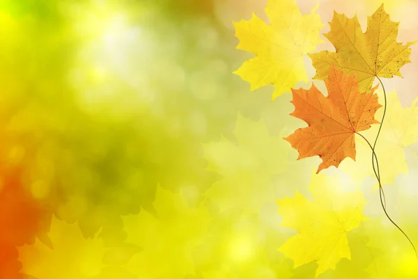 Paisaje de otoño con follaje de colores brillantes. Verano indio . — Foto de Stock