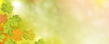 sonbahar manzara parlak renkli yeşillik ile. Pastırma yazı.