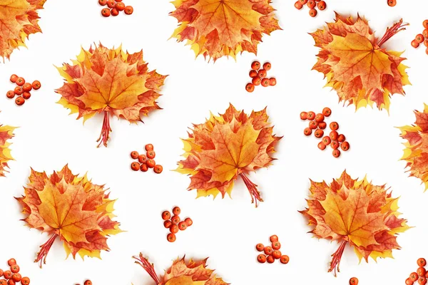明亮多彩的秋天树叶 — 图库照片