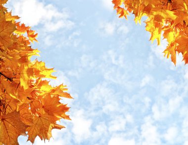 sonbahar manzara parlak renkli yeşillik ile. Pastırma yazı.