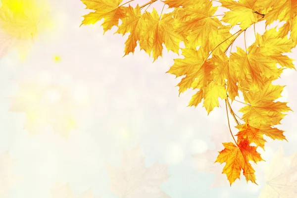 sonbahar manzara parlak renkli yeşillik ile. Pastırma yazı.