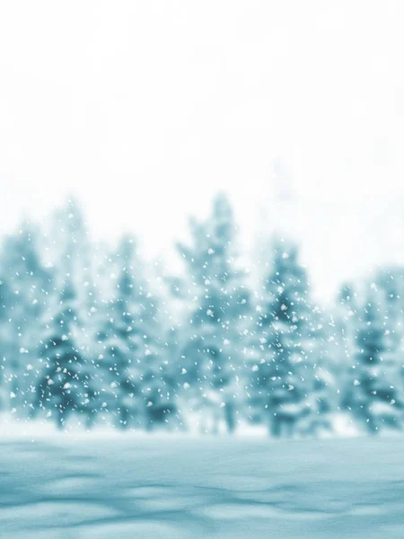 Frozen winter forest with snow covered trees. — Stock Photo, Image