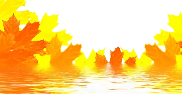 Feuillage d'automne coloré brillant — Photo