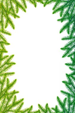 Kar kaplı ağaç Noel ağacı dalları 