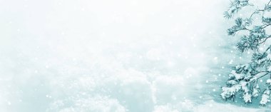  Karla kaplı ağaçlarla donuk kış ormanı.