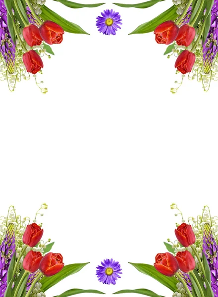 สาขาของดอกลิลลี่ของหุบเขา ดอกไม้แยกจากสีขาว bac — ภาพถ่ายสต็อก