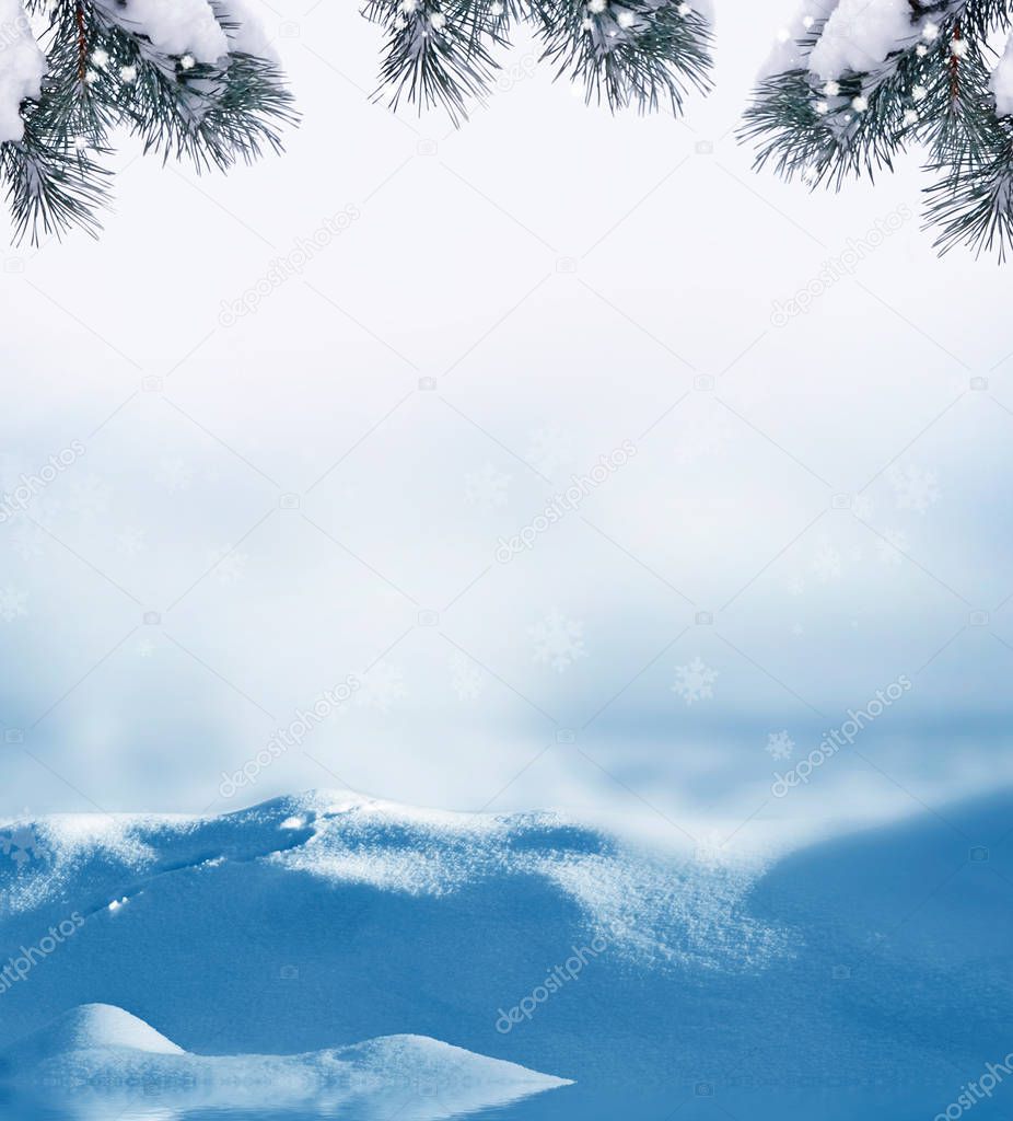  forest in the frost. Winter landscape. Snow covered trees. 