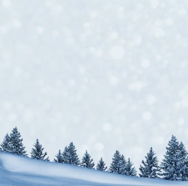  Karla kaplı ağaçlarla donuk kış ormanı.