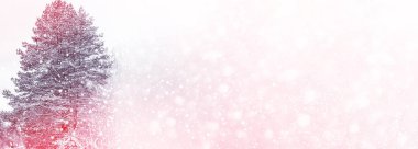  Karla kaplı ağaçlarla donuk kış ormanı.