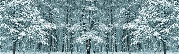 Ліс у морозі. Зимовий пейзаж. Снігові покриті деревами . — стокове фото