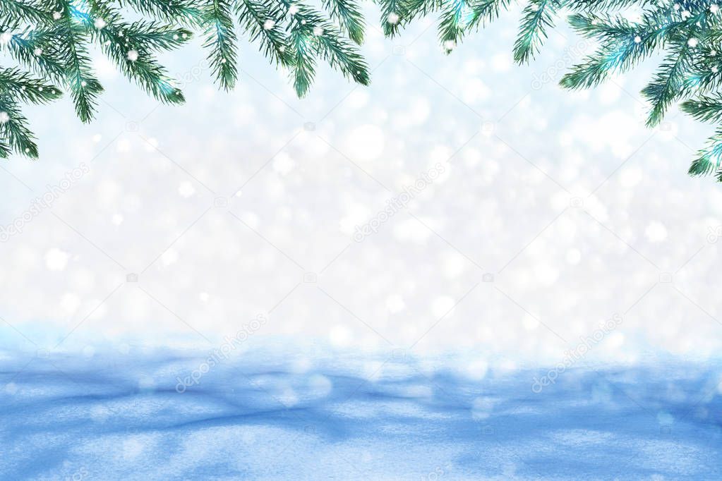 Christmas card with fir branches. 