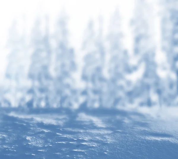 Verschwommener weihnachtlicher Hintergrund. Bäume im Schnee. Winterwald — Stockfoto