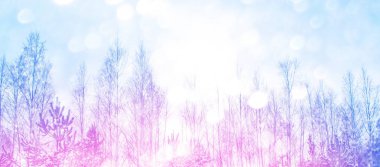  Karla kaplı ağaçlarla donuk kış ormanı.