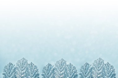  Kış arka plan bulanık. Noel kartı. 