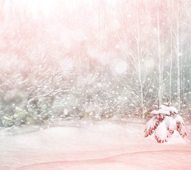  Karla kaplı ağaçlarla donuk kış ormanı.