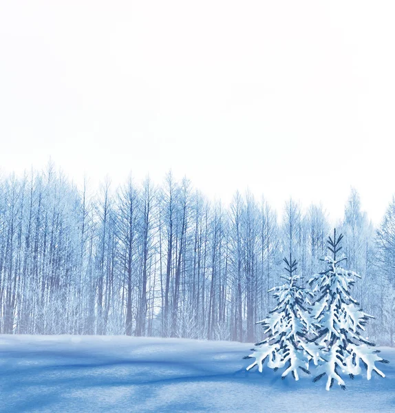 Gefrorener Winterwald mit schneebedeckten Bäumen. — Stockfoto