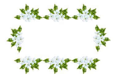 Beyaz bir arka plan üzerinde izole elma dalı çiçeklenme. Bahar