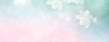 Yasemin şube hassas bahar çiçekleri beyaz