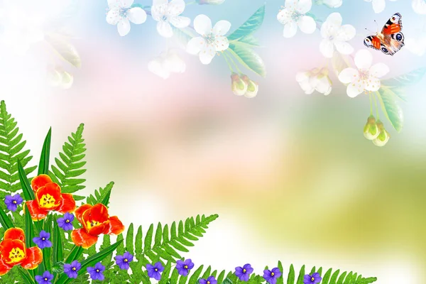 Floral background with bright spring flowers. — Stock Photo, Image