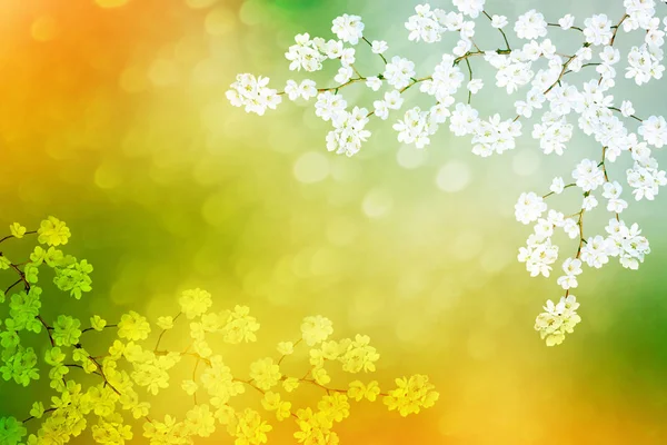 Leuchtend bunte Frühlingsblumen — Stockfoto