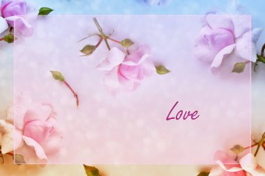 Parlak renkli çiçek gül.