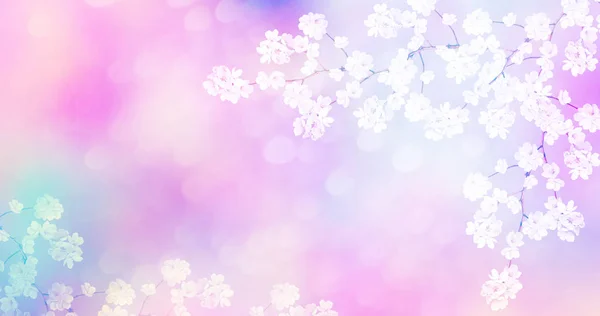 Fleurs printanières colorées lumineuses — Photo