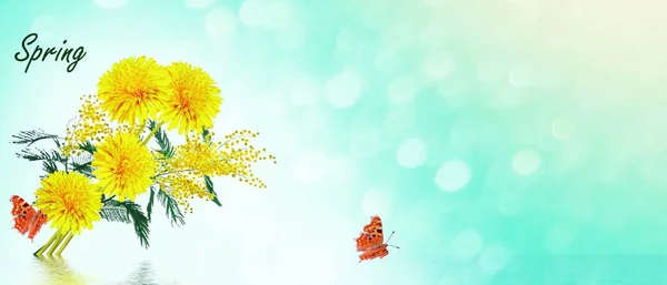 Yellow flowers of dandelion and mimosa. — Stock Photo, Image