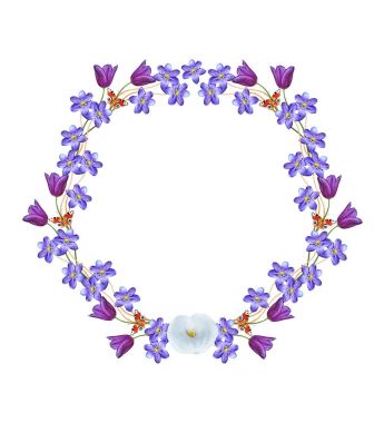 Lale ve kardelen beyaz bir arka plan üzerinde parlak çiçek.