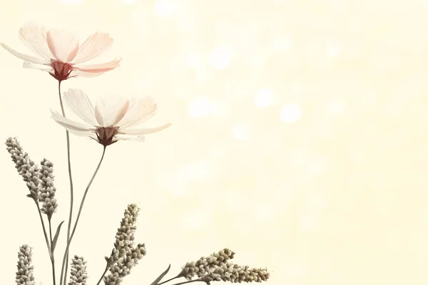 Helle bunte Kosmos-Blumen — Stockfoto
