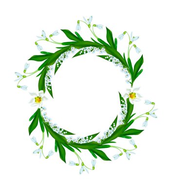 Bahar çiçek kardelen