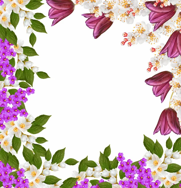 Helle und farbenfrohe Frühlingsblumen. Floraler Hintergrund. — Stockfoto