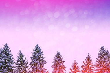  Karla kaplı ağaçlarla donuk kış ormanı.