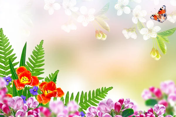Fond floral avec des fleurs printanières lumineuses . — Photo