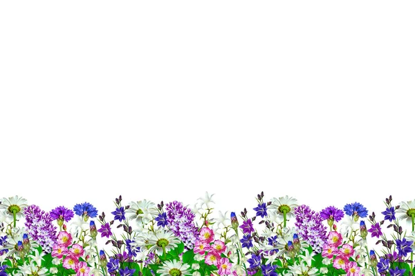 Ljusa färgglada fält och trädgård blommor isolerad på vita backg — Stockfoto