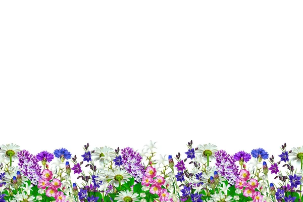明るいカラフルなフィールド、白い背景で隔離の庭の花 — ストック写真