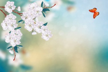 Parlak renkli bahar çiçekleri