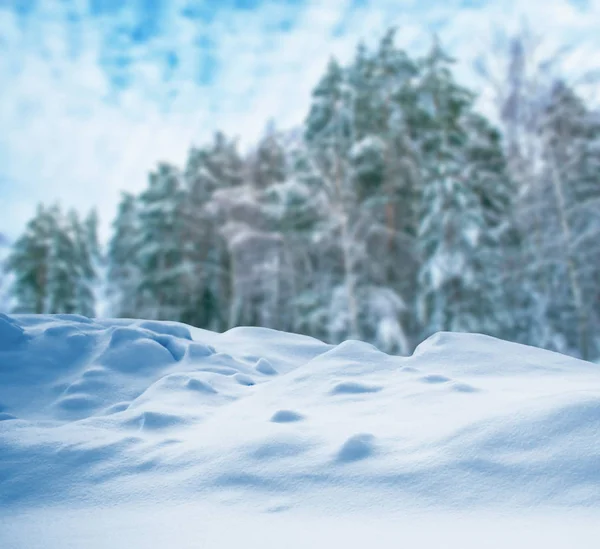 Foresta invernale ghiacciata con alberi innevati. — Foto Stock