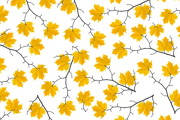Világos, színes, őszi levelek — Stock Fotó