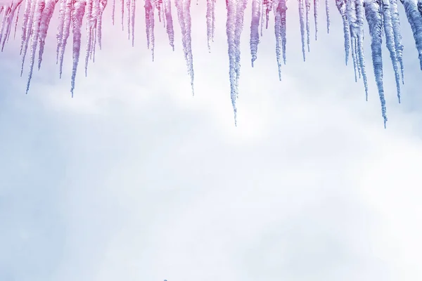 Carámbanos blancos contra el cielo azul de invierno. — Foto de Stock